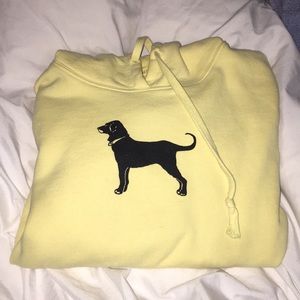 BLACK DOG HOODIE
